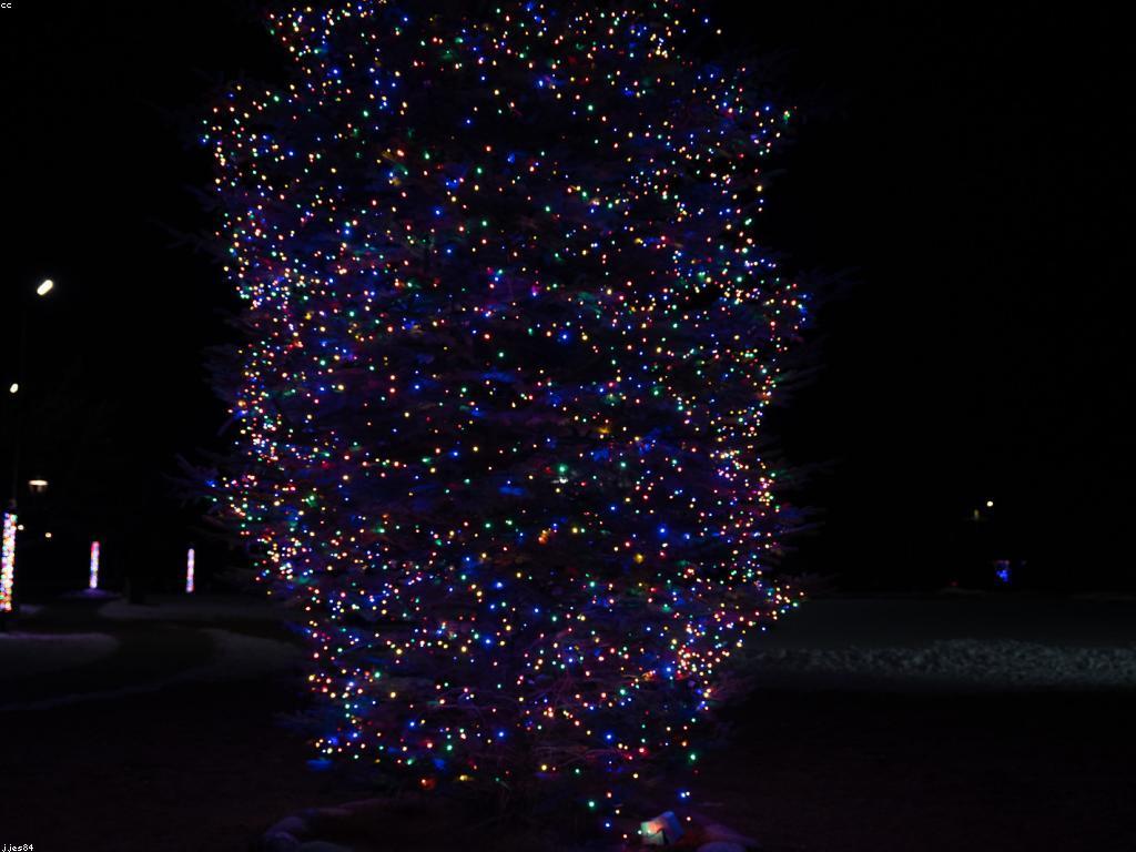 សារៈសំខាន់នៃរង្វាន់ធំក្នុងជីវិត