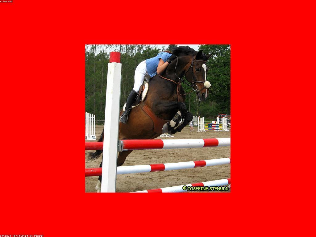 យុទ្ធសាស្រ្តសម្រាប់ការប្រកួតកីឡា