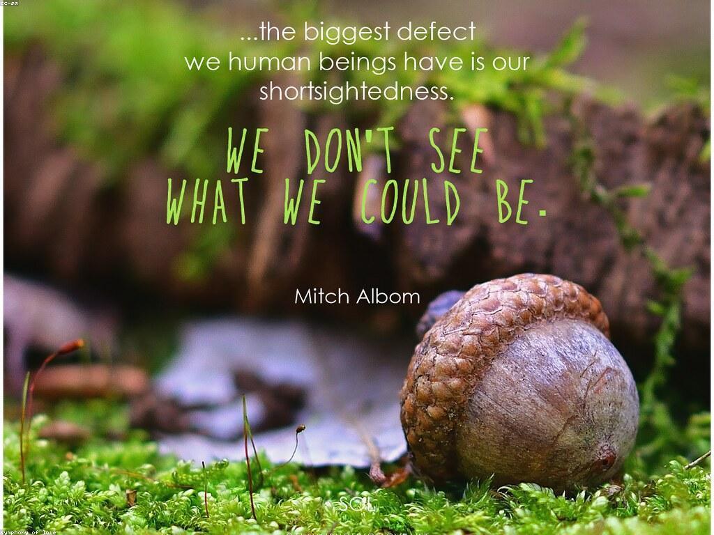 ការផ្តល់រង្វាន់ធំ និងការជំរុញពិភពលោក